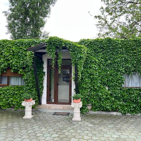 拉里萨酒店 蒂米什瓦拉 外观 照片